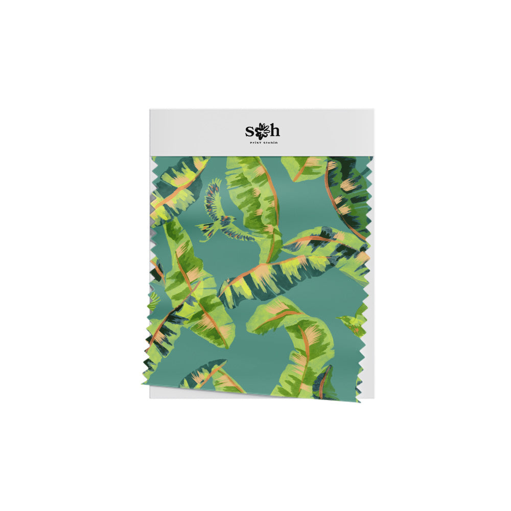 Leaves and birds